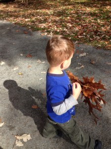 Collecting leaves 10-20-12